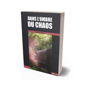 Dans l'ombre du chaos
