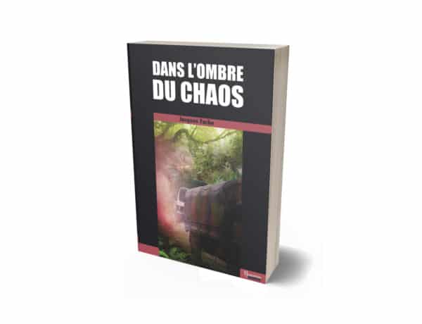 Dans l'ombre du chaos